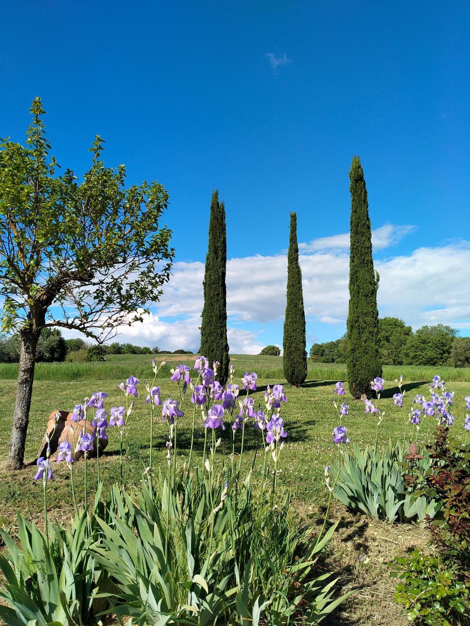 Villa Nobile 哥尔顿 外观 照片